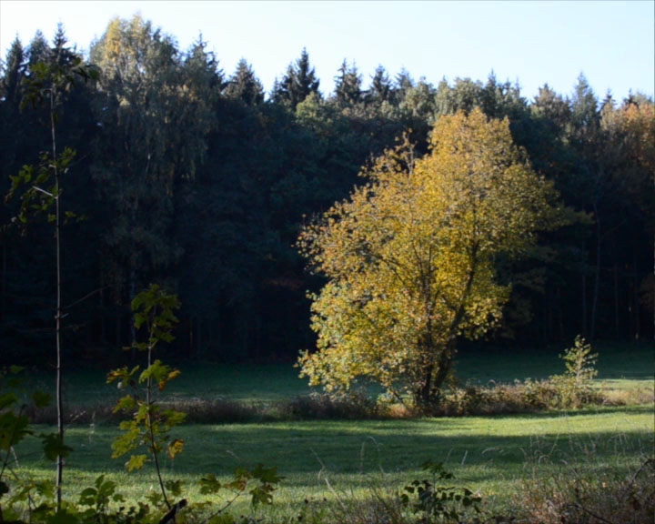 https://www.patrickcinema.de:443/files/gimgs/th-60_60_60_vlcsnap-2011-10-03-19h19m33s185.jpg